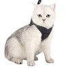 Evel Cat Harness and Leash, Ultra-Light, Escape-Proof, Adjustable, Soft Mesh