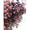 Daichi Farm DO003380-400 Preserved Flowers, Pepperberry Preserved, Purple, Approx. L