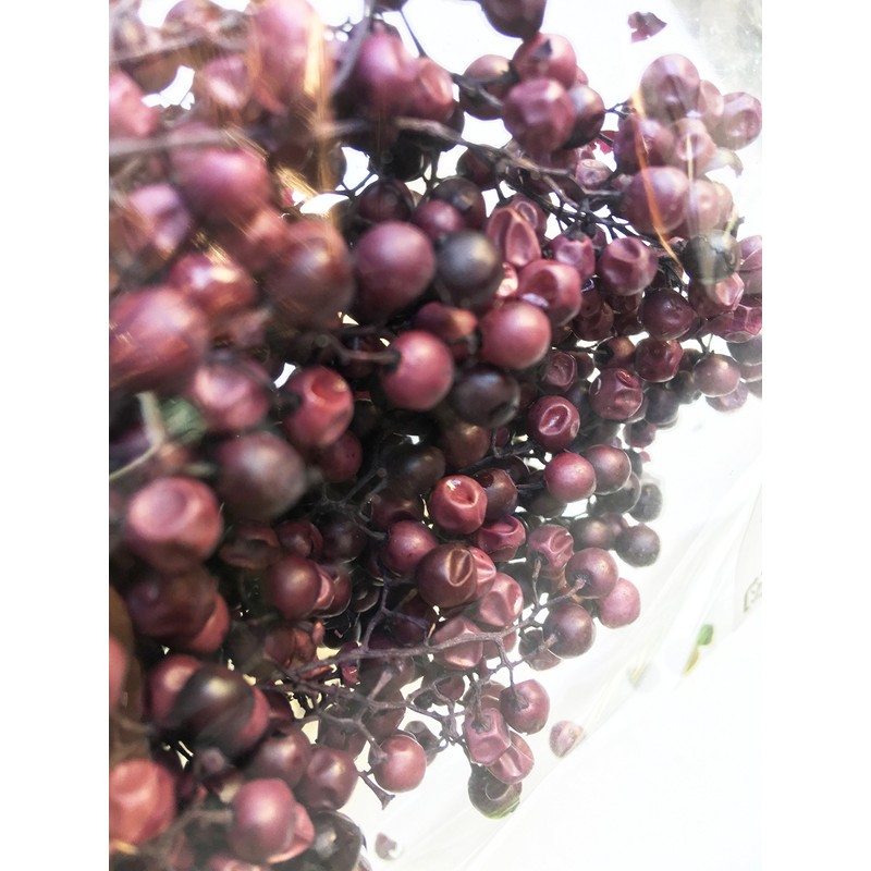 Daichi Farm DO003380-400 Preserved Flowers, Pepperberry Preserved, Purple, Approx. L