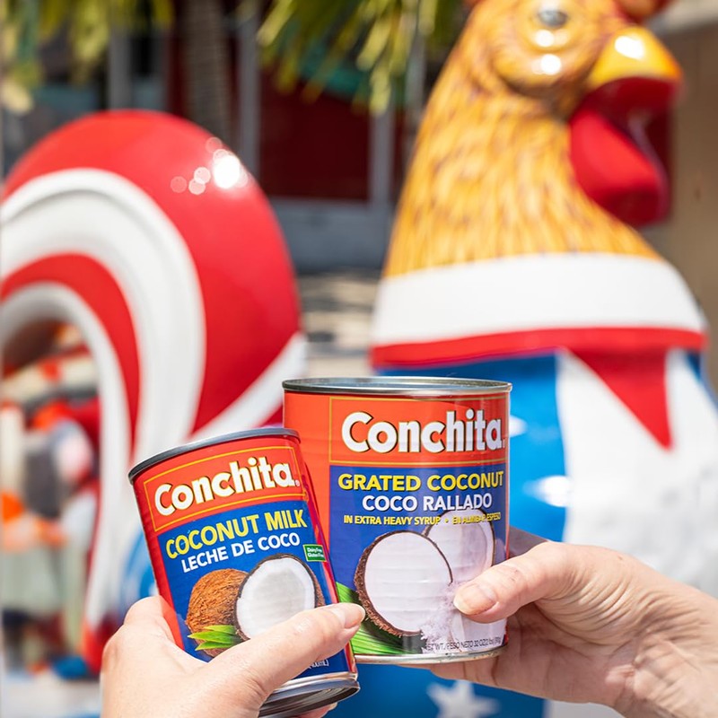 Conchita Grated Coconut - Sweet Taste of Tropical Paradise for