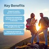 Organika Berberine - High Potency, Cholesterol and Glucose Metabolism Support,