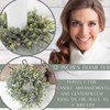 Factory Direct Craft Artificial Frosted Pine Evergreen Wreath Ring -