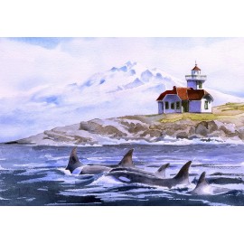 Bella Terra Patos Island Lighthouse, Mt. Baker & Orcas, Washington. James Mann Art Notecards - Set of 12