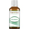 Spearmint Essential Oil 1 oz / 30 ml. 100% Pure