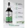 Eyebright Herb Liquid Extract | 2 fl oz | Alcohol