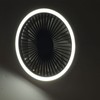 Tripod Desk Fan with Light USB Rechargeable Battery Operated 3