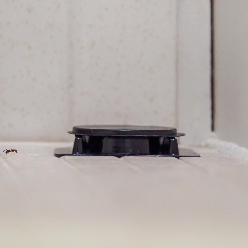 Home Plus Ant Killer Plastic Bait Stations, 4 Count