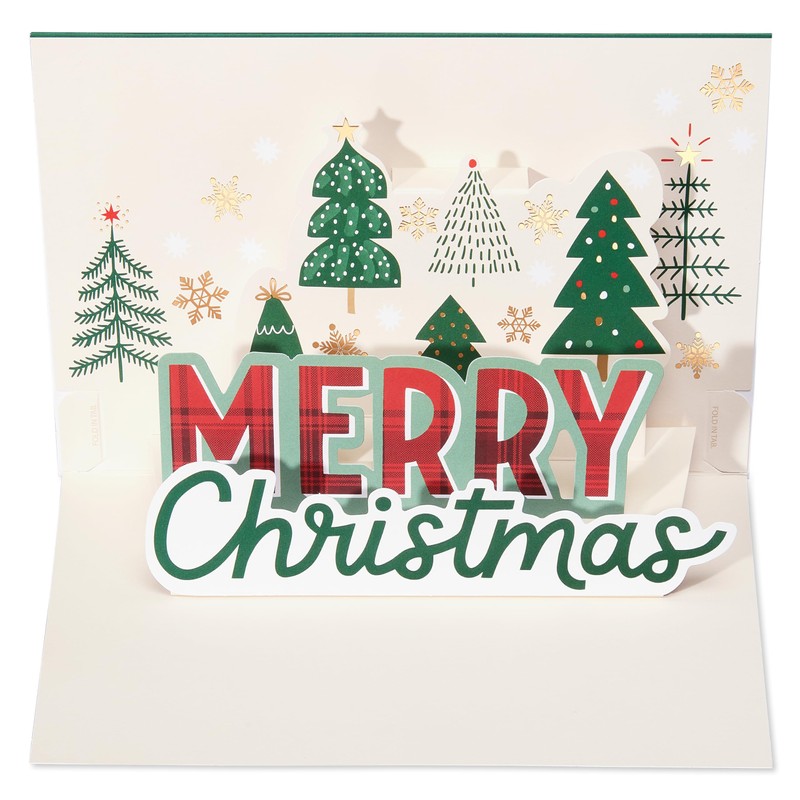 American Greetings Pop Up Christmas Card for Son (Great Guy)