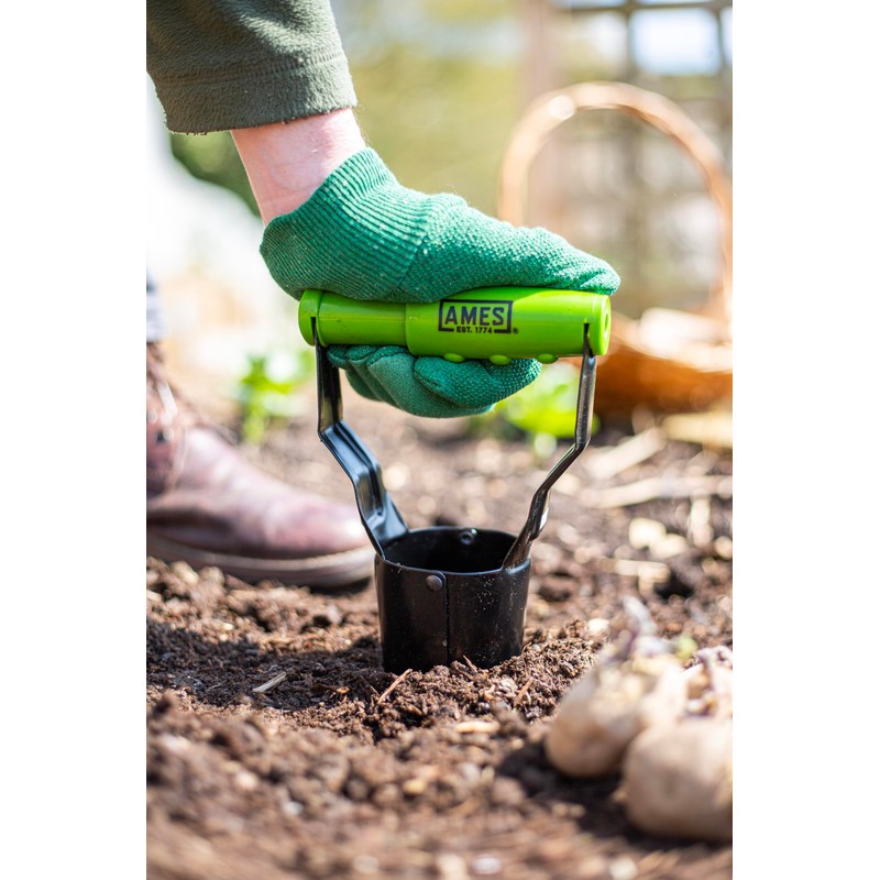 AMES Hand Bulb Planter - Carbon Steel