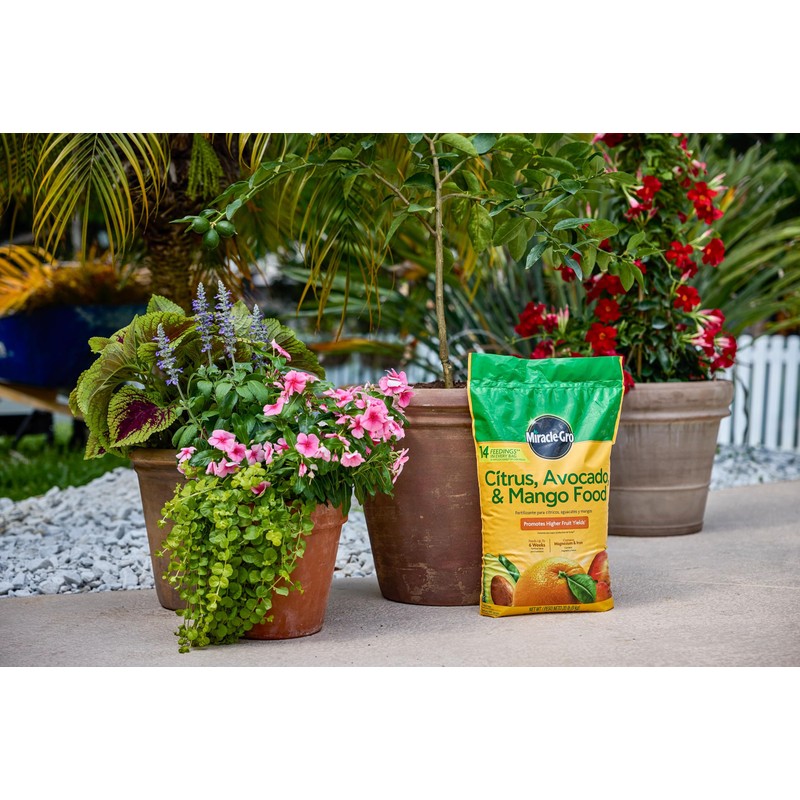 Miracle-Gro Citrus, Avocado, & Mango Food, 20 lb.