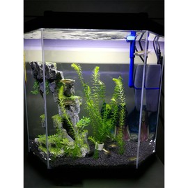 COVOART 15 inches LED Aquarium Light, 8W Fish Tank Light Underwater Light Submersible Crystal Glass Lights, 9.2ft/2.8m Long Wire Length, White