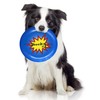 Infusion Wham-O Custom Name Burst Design Ultimate Frisbee Disc -