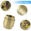 Backflow Preventer 1 1/2 Inch Brass, Anti-Backflow Check Valve, Vertical