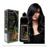 Shampoo Negro Para Teñir Canas Eishowt 500 Ml