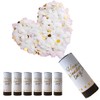 DEARLIVES 6 Pcs White Confetti Cannons, Biodegradable Confetti Wedding Party