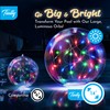 TIALLY Fairy Solar Floating Pool Lights - 14" Inflatable LED