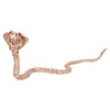 Crazy Bonez Skeleton Cobra