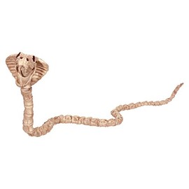 Crazy Bonez Skeleton Cobra