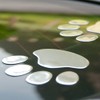 EQLEF® 4 Pairs Bear Dog Paw Animal Footprints Car 3D