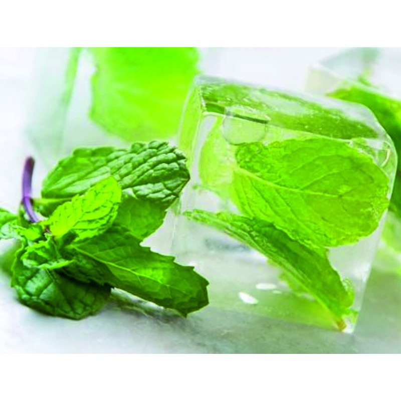 CRYO FORTE Cold Effect Massage Gel Refreshing Balm Massage Cream