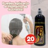 3 Pz Shampoo Tinte Instantáneo Cubre Canas Natural Jengibre
