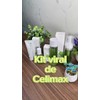 Celimax Noni Kit Full Size Antiedad Revitalizante Y Calmante