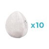 Envo Pro N95 Replacement Filter, 10 Pack, Individually Wrapped, Electrostatically
