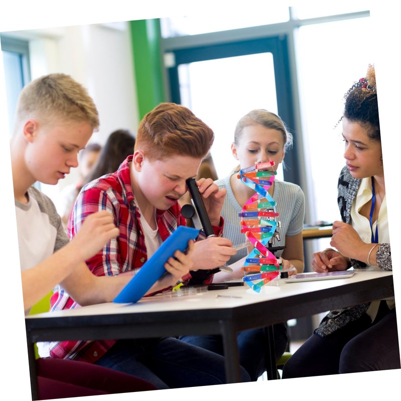 BESPORTBLE Self Assembling DNA Model Kit Interactive Science Educational Tool