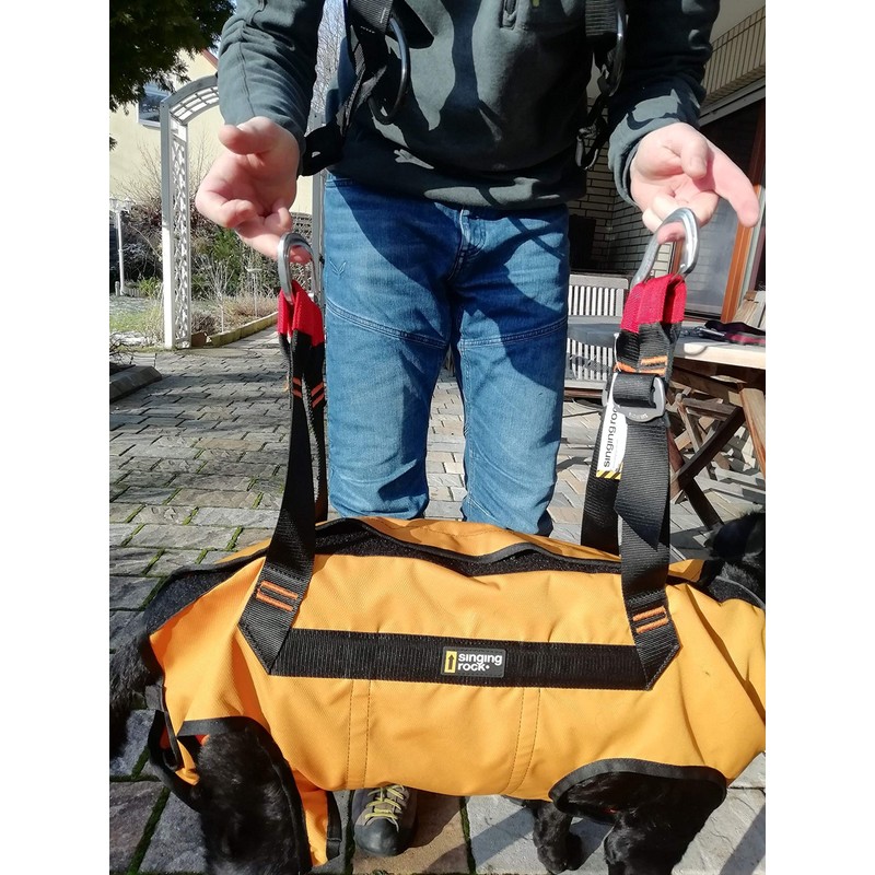 Singing Rock Laika Dog Harness