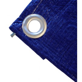 Blue Tarp 2.9 OZ, 8'x16'
