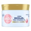 SEDAL MASCARILLA HIALURONICO 300gr