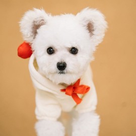 Dog Costume,Red Heart Dog Cat Hoodie Sweaters for Birthday Mother's Day Christmas,Holiday Clothes for Chihuahua Yorkie Poodle (XX-Large, Red)