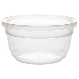 Snapware 1.2-Cup Total Solutions Plastic Food Storage Container - Made in USA