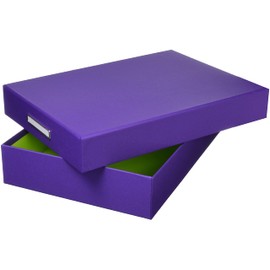 TAKEMEKI Tool Box, Inner Dimensions 9.4 x 13.2 x Height 2.6 inches (240 x 335 x 65 mm) (Purple/Yellow Green), Storage Box, A4 Size, Clear File Can Hold
