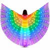 Rainbow LED Light-Up Butterfly Wings Costume, Illuminated Dance Wings for