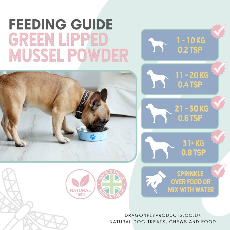 Dragonfly Products | Green Lipped Mussel Powder for Dogs and