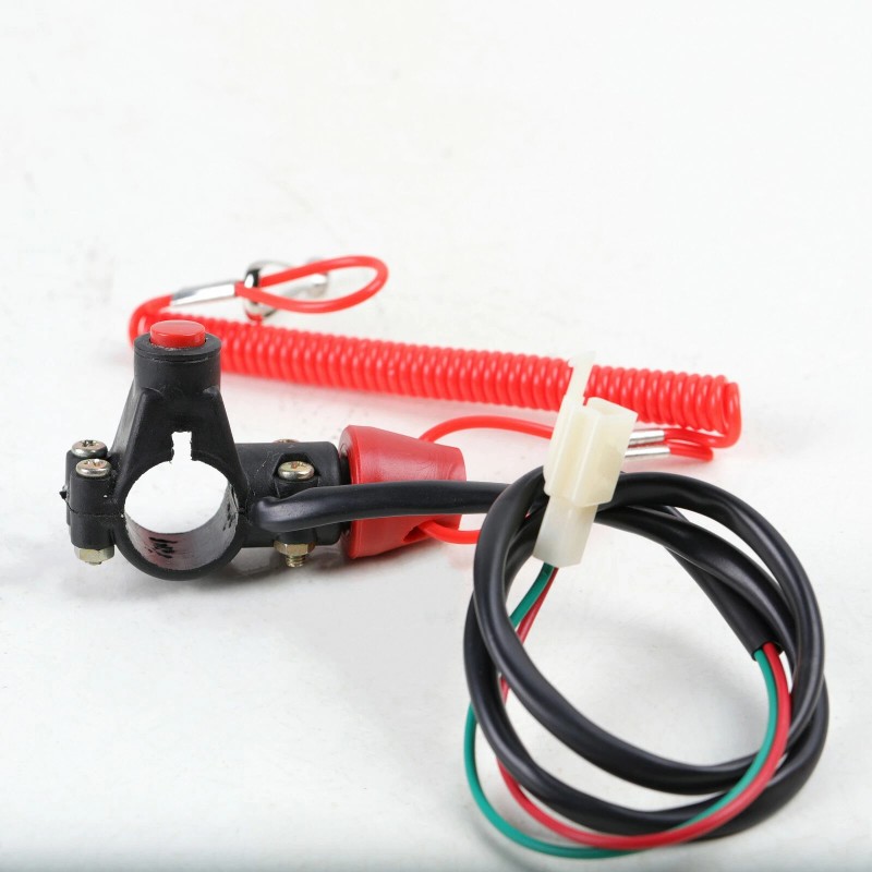 Unbranded 49CC 50CC Engine 2 Stroke Pull Start Motor for