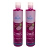 Shampoo Cebolla Linaza Sheló Nabel 530ml Pack 2 Limpieza Profunda