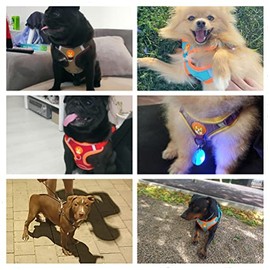 TUMYES Arnés para Perros, Arnés para Perro con Correa de 1.5m para Perros y Gatos Pequeños, Medianos, Ajustable, Anti Tirones, Diseño Reflectante de  