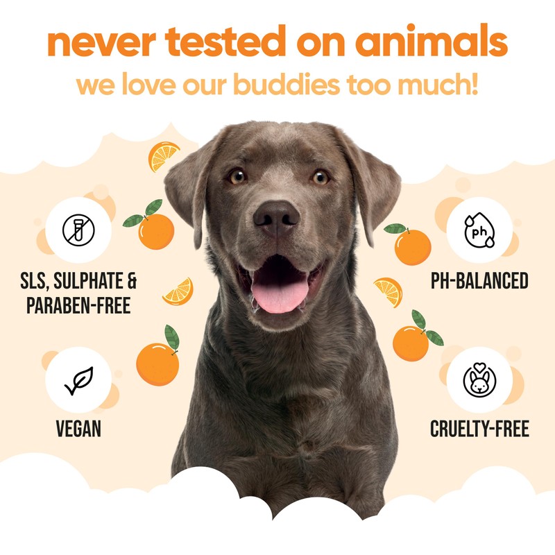 Buddycare Hundeshampoo mit Orangen – Tiefenreinigungsshampoo für Hunde – fruchtiger