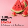 Creatina Monohidratada en Polvo con Electrolitos y Ciclodextrina | Pre