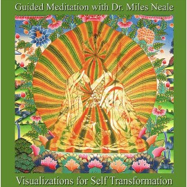 Visualizations for Self-Transform