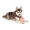 Midlee Easter Egg Plush Dog Toy - Pink (Large)