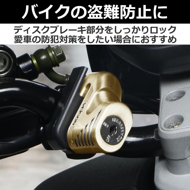 Felimoa Motorcycle Disc Lock Anti-Theft Special Key Parking Holder Included