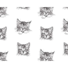 Stesha Party Black Kitty Cat Wrapping Paper Kitten Animal Gift Wrap 30 x 20 Inch (3 Sheets)