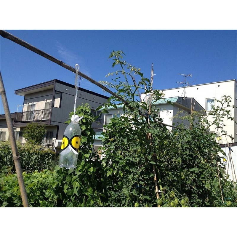 Crow Protection Goods "SARABA Crow-kun" Sticker Pack of 2