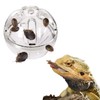 SEZDEKI Bearded Dragon Feeder Toy - Reptile Foraging Ball Lizard