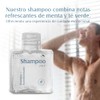 Shampoo Hotelero 2 en 1 40 ml Elements Caja 110