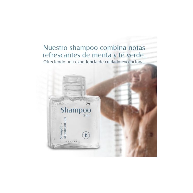 Shampoo Hotelero 2 en 1 40 ml Elements Caja 110