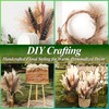 Dried Pampas Grass & Eucalyptus Decor, 100% Natural Bunny Tails